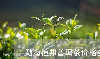 勐海恒邦普洱茶价格多少/2023101085735