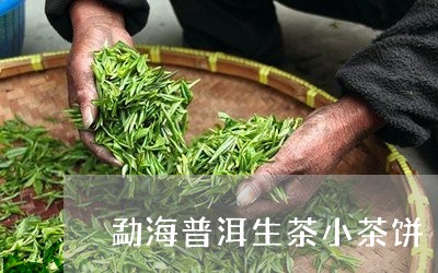 勐海普洱生茶小茶饼/2023042771795