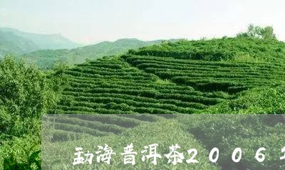 勐海普洱茶2006年/2023062804827