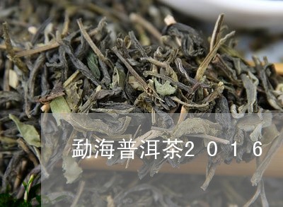 勐海普洱茶2016/2023091425260