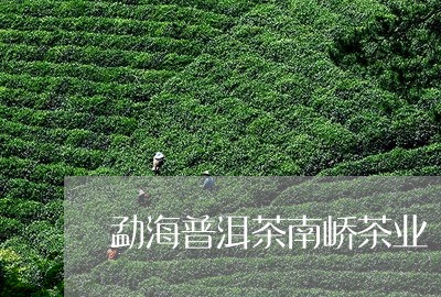 勐海普洱茶南峤茶业/2023100586291