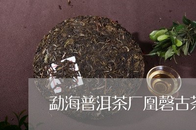 勐海普洱茶厂凰磬古茶/2023062304846