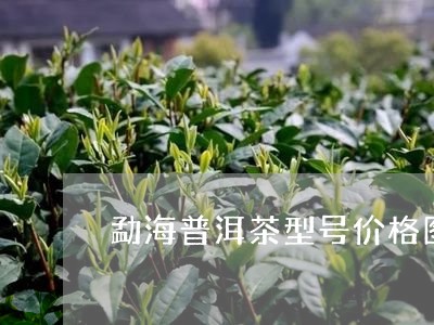 勐海普洱茶型号价格图片/2023110514249