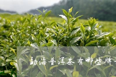 勐海普洱茶有哪些牌子/2023100878816