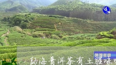 勐海普洱茶有土腥味吗好吗/2023110506069