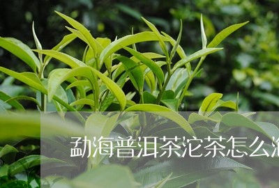 勐海普洱茶沱茶怎么泡最好/2023082748172