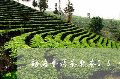 勐海普洱茶熟茶05年/2023100843924