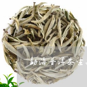 勐海普洱茶生茶357g/2023112832794