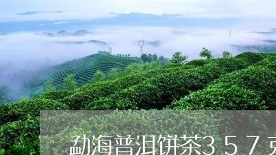 勐海普洱饼茶357克/2023061371958