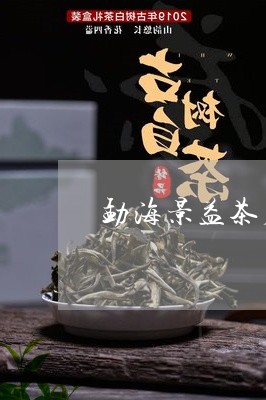 勐海景益茶厂布朗大树/2023071670582