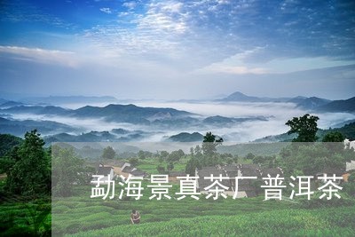 勐海景真茶厂普洱茶/2023121576363