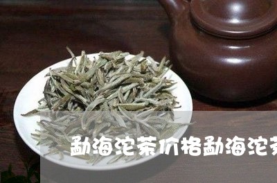 勐海沱茶价格勐海沱茶早春/2023051135138