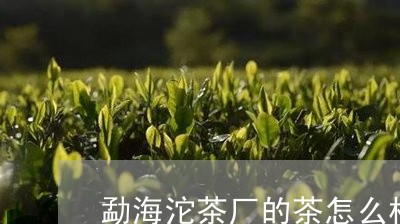 勐海沱茶厂的茶怎么样/2023092158292