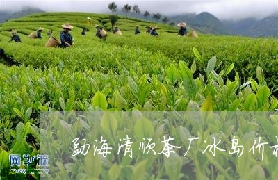 勐海清顺茶厂冰岛价格/2023092392806