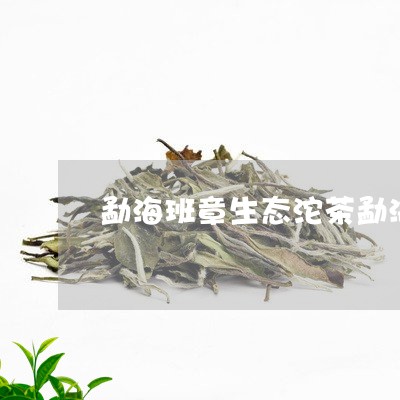 勐海班章生态沱茶勐海班章白菜沱茶/2023060495948