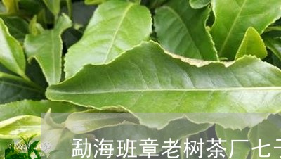 勐海班章老树茶厂七子饼茶勐海金牙/2023060464160