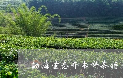 勐海生态乔木饼茶特点/2023071660606