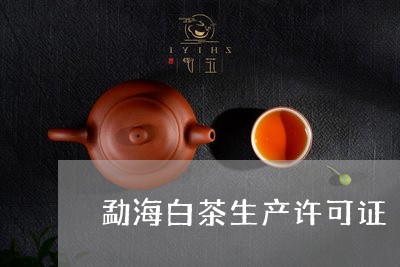 勐海白茶生产许可证/2023121752825
