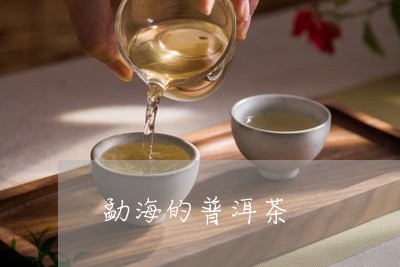 勐海的普洱茶/2023042831593