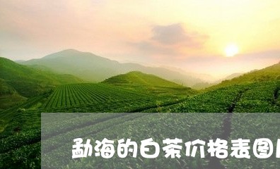 勐海的白茶价格表图片/2023123128293