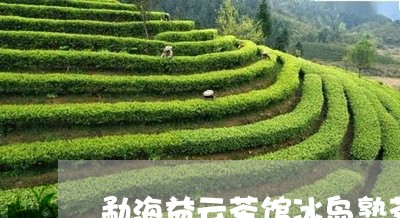 勐海益云茶馆冰岛熟茶/2023092357583