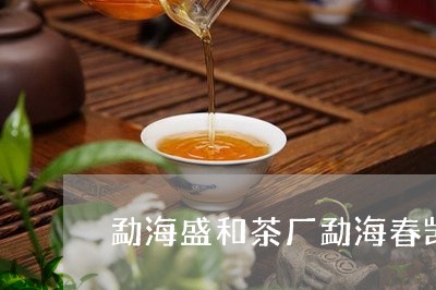 勐海盛和茶厂勐海春凯茶厂陈香熟茶/2023060480516