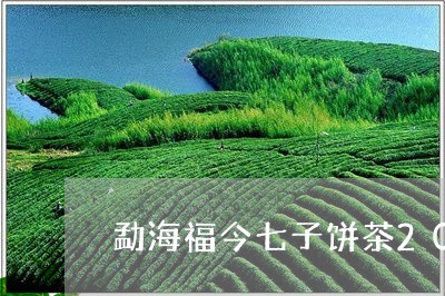 勐海福今七子饼茶2010春茶/2023053148840