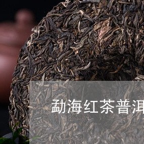 勐海红茶普洱茶的特点/2023080149284