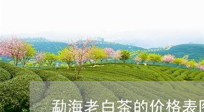 勐海老白茶的价格表图/2023123195160