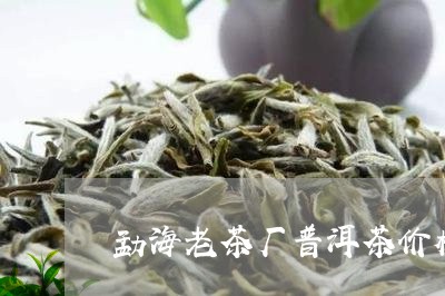 勐海老茶厂普洱茶价格/2023080101693