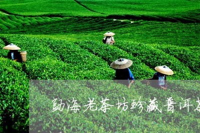 勐海老茶坊珍藏普洱茶/2023100690403