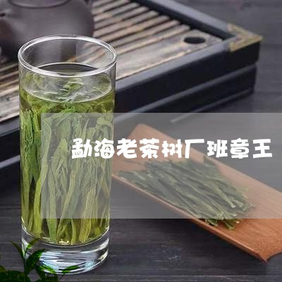 勐海老茶树厂班章王/2023042558403