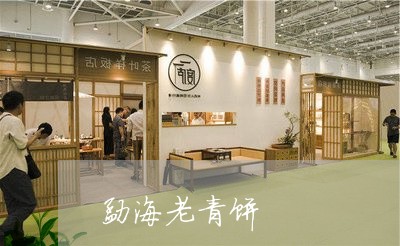 勐海老青饼/2023041868203