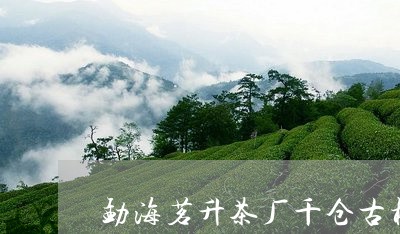 勐海茗升茶厂千仓古树/2023092172824