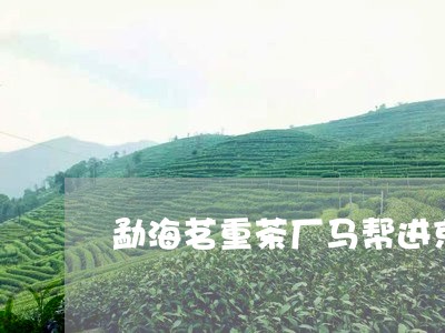 勐海茗重茶厂马帮进京/2023071650403