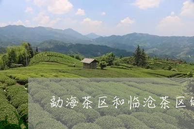 勐海茶区和临沧茶区的区别/2023051297258