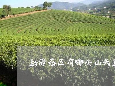 勐海茶区有哪些山头勐海茶山示意图/2023060455069