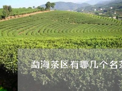 勐海茶区有哪几个名茶/2023092189593