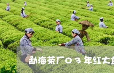 勐海茶厂03年红大益/2023092127159