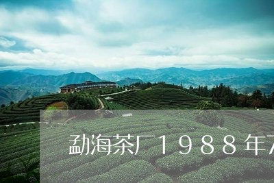 勐海茶厂1988年7572紫大益/2023060420494