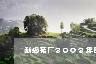 勐海茶厂2002年的茶的特点/2023053136149