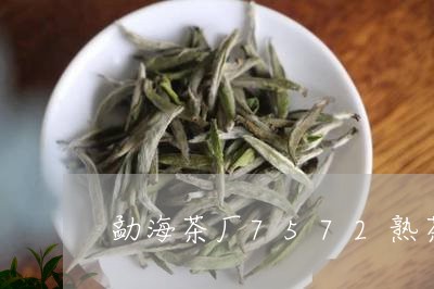 勐海茶厂7572熟茶/2023092254914