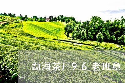 勐海茶厂96老班章/2023042730304