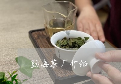 勐海茶厂介绍/2023042973201