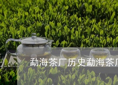 勐海茶厂历史勐海茶厂熟茶发酵师/2023060168370