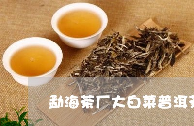 勐海茶厂大白菜普洱茶/2023062067260