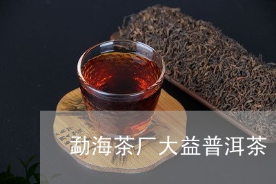 勐海茶厂大益普洱茶/2023071180572