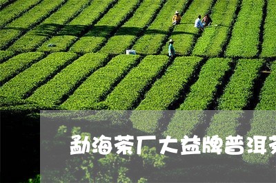 勐海茶厂大益牌普洱茶怎么样/2023082834626