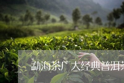 勐海茶厂大经典普洱茶/2023100696938