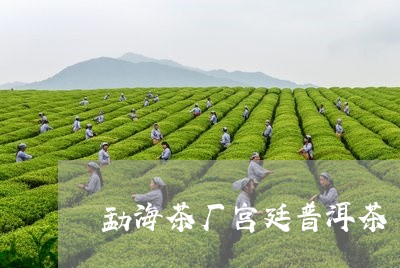 勐海茶厂宫廷普洱茶/2023091362848